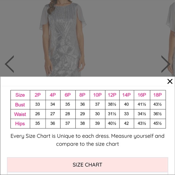 R&M Richards Silver Dress - Picture 11 of 11